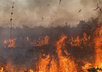 Dans l&rsquo;est de l&rsquo;Angola, la guerre a bouleversé des siècles de gestion du feu