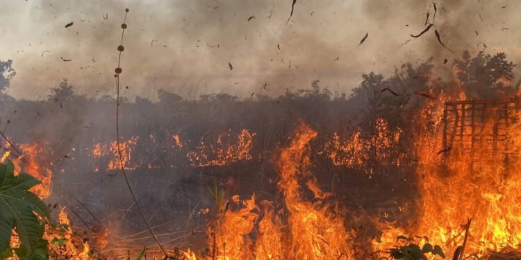 Dans l&rsquo;est de l&rsquo;Angola, la guerre a bouleversé des siècles de gestion du feu